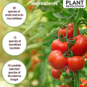 Plant Success Organics Close-up granules reveal natural ingredients suitable for sustainable feeding.
