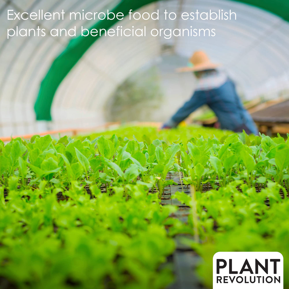 Plant Success Organics Garden setup shows granules ready for vegetables and ornamentals.