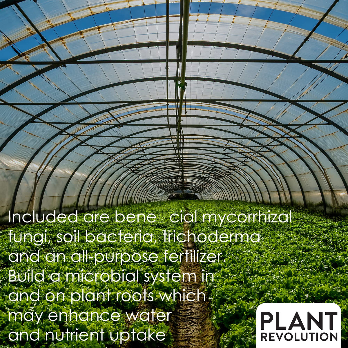 Plant Success Organics Label front view highlights usage instructions and organic credentials.