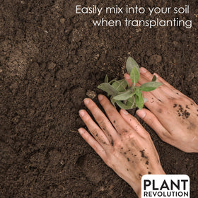 Plant Success Organics Root zone application ensures even distribution for robust root establishment.