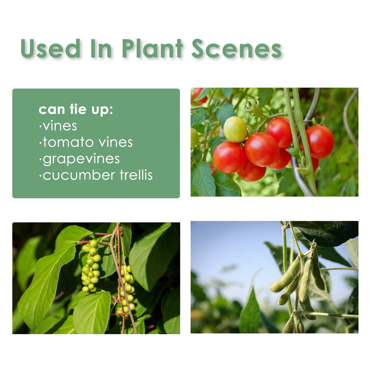 Plantactic versatile use for indoors and outdoors gardens.