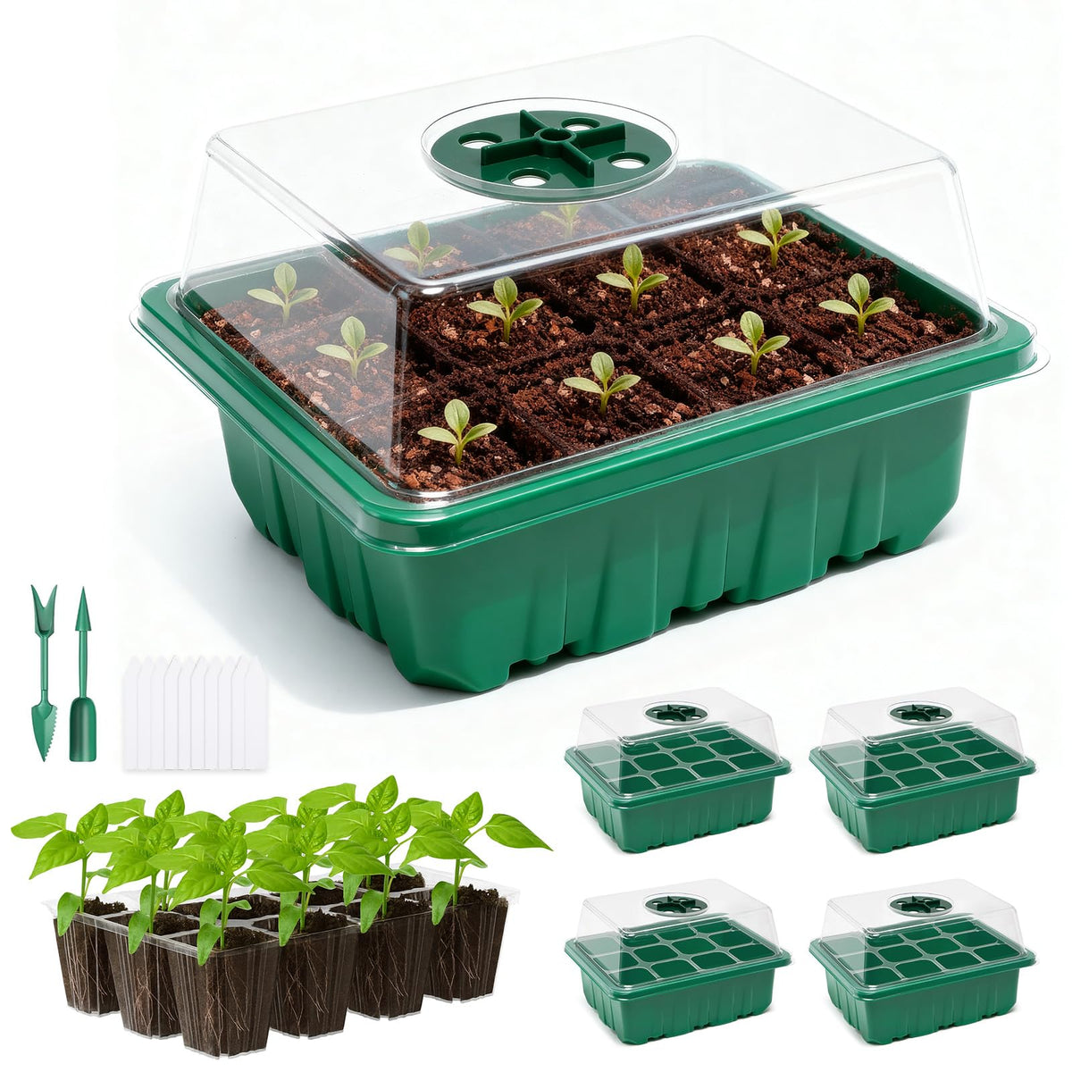 PlantaPulse seed starter tray with humidity dome supports stable germination conditions.