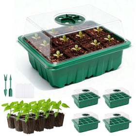 PlantaPulse seed starter tray with humidity dome supports stable germination conditions.