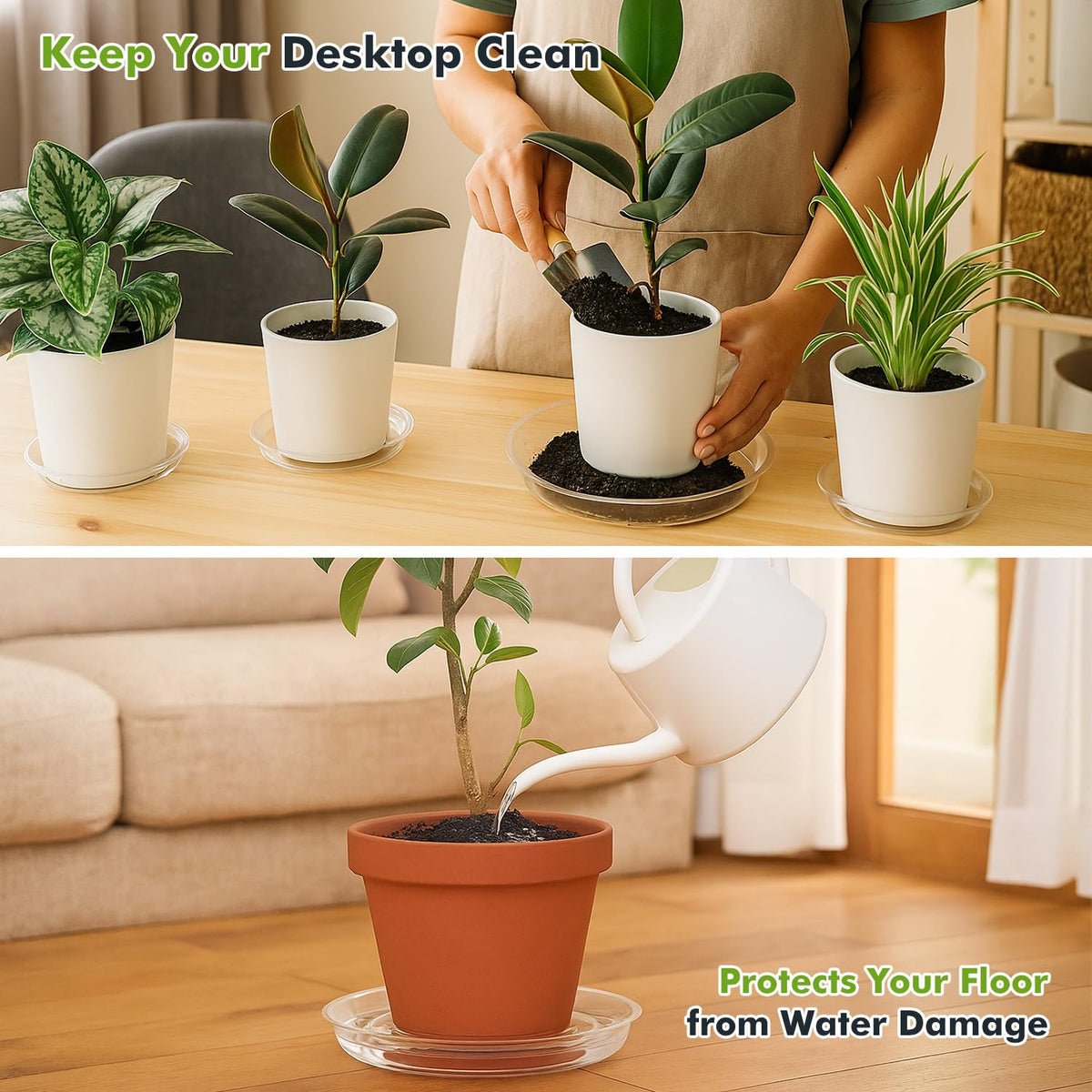 Planterhoma 10-inch clear plant saucer shields surfaces during watering.