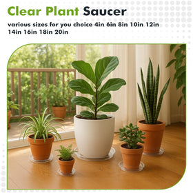 Planterhoma 14-inch clear plant saucer suitable for larger planters and spaces.