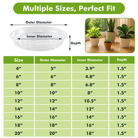 Planterhoma 8-inch clear plant tray catches excess water indoors.