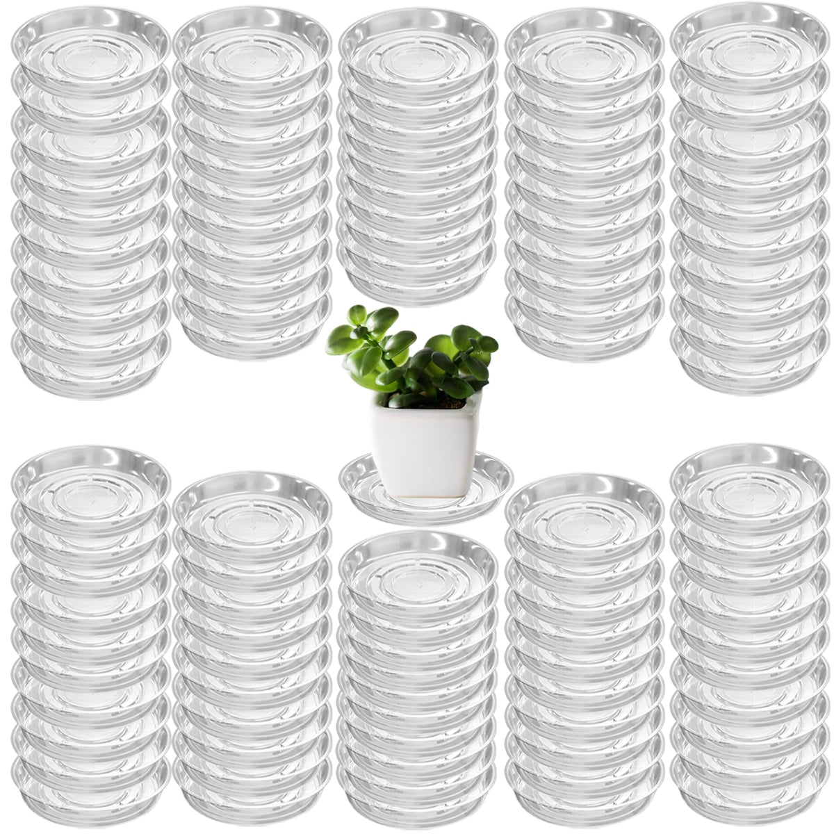 Planterhoma 4-inch clear plant saucer catching runoff to protect floors.