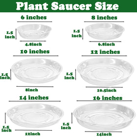 Planterhoma clear saucer under pot catching drips.