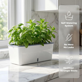 Planterhoma planter with drainage hole and visible water level window for convenient watering