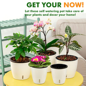 Planterhoma drainage holes promote airflow and prevent soggy soil.