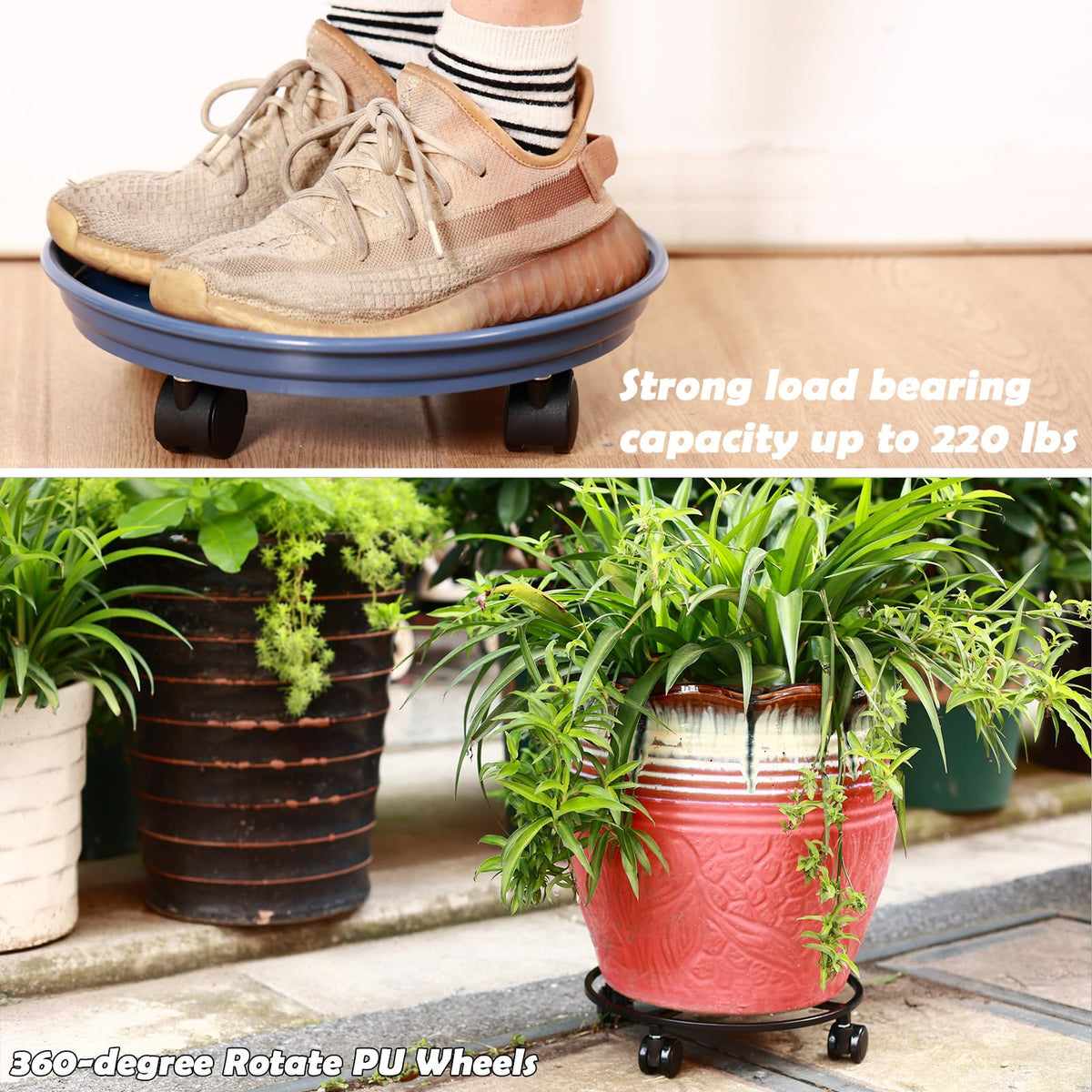 Planterhoma 8-pack offers bulk value for multi-room setups.