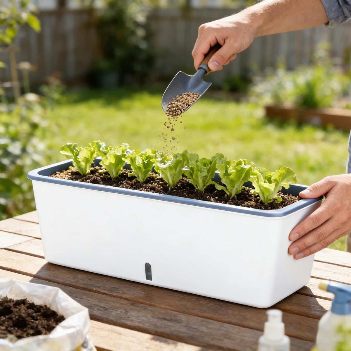 Planterhoma indoor garden rectangular pot placed on a bright indoor surface