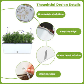 Planterhoma indoor herb planter in rectangular form suitable for kitchen spaces