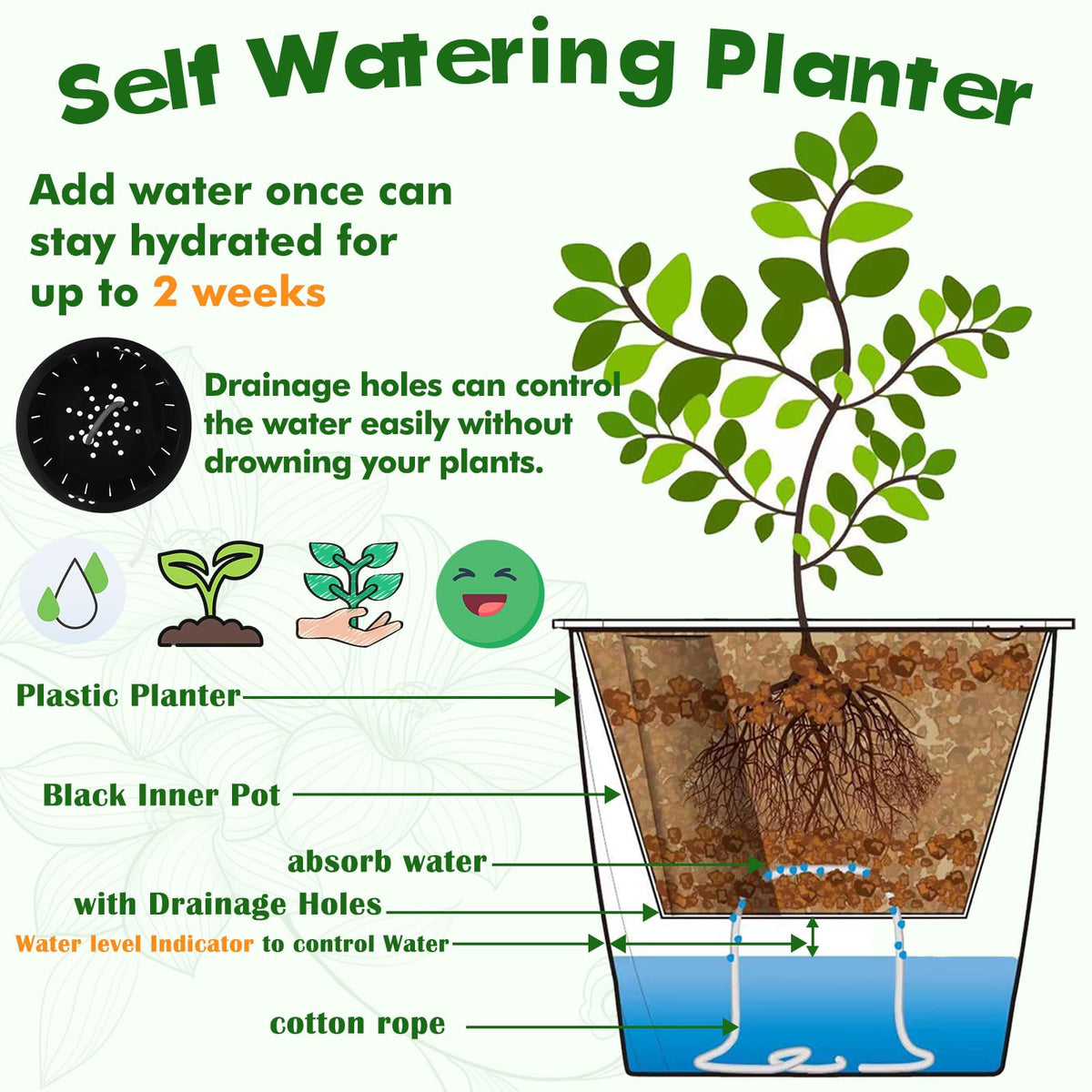 Planterhoma indoor plant care solution for busy households.
