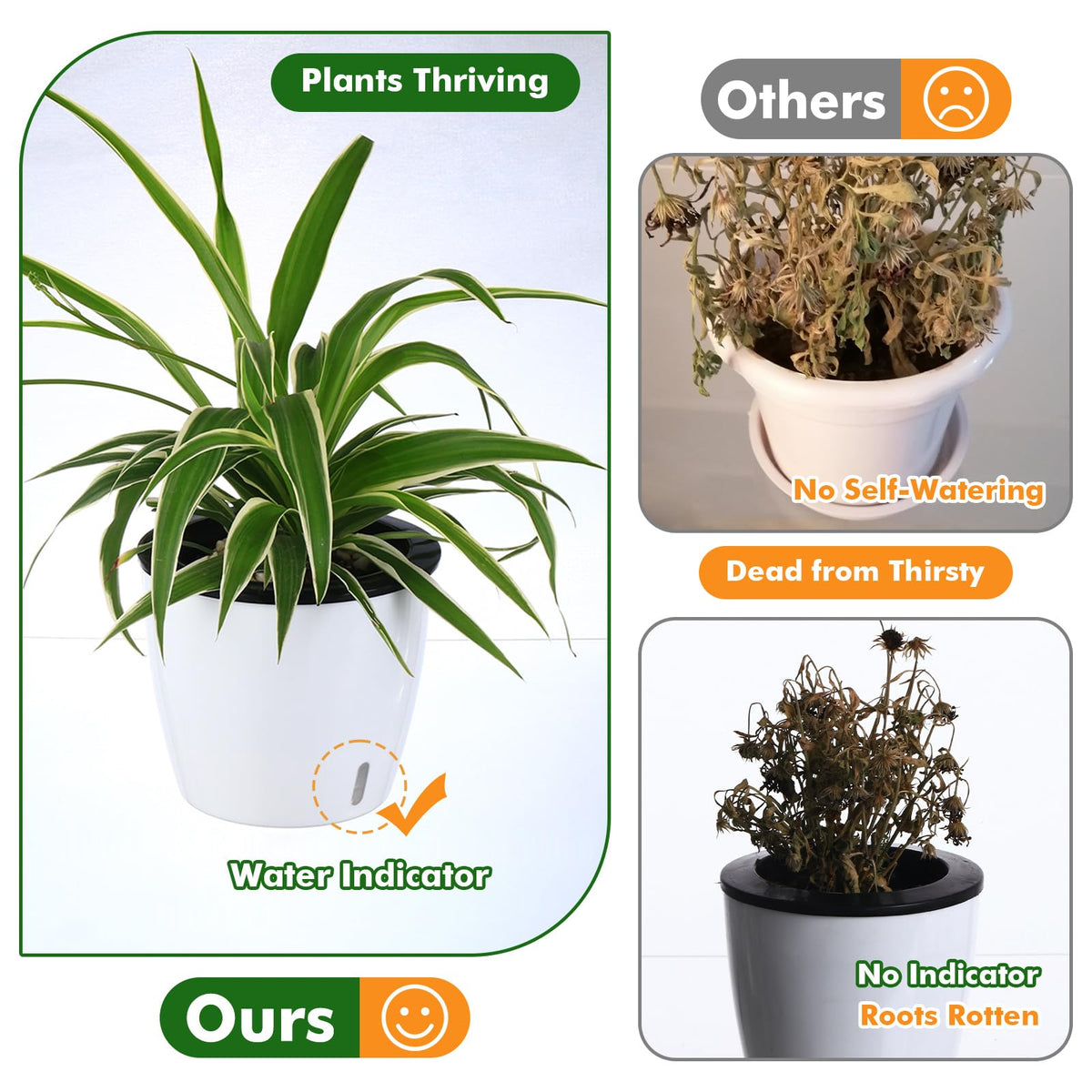 Planterhoma inner pot with wick delivers steady hydration to roots.