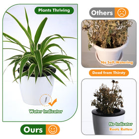 Planterhoma inner pot with wick delivers steady hydration to roots.