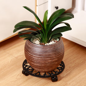 Planterhoma large pot mobility stand suitable for heavy indoor specimens.