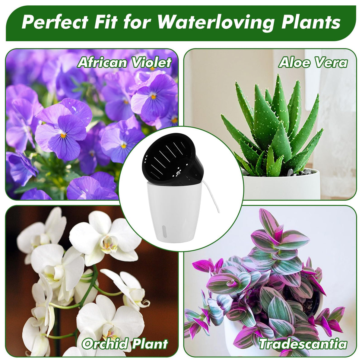 Planterhoma modern black wick pot adds stylish greenery.