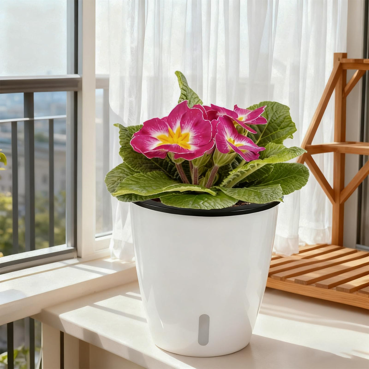 Planterhoma six-pack African violet pots for multiple plants.
