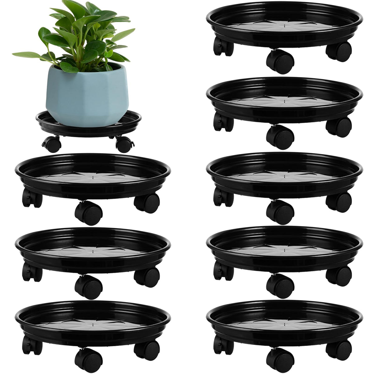Planterhoma 12-inch plant caddy with wheels makes moving a large pot effortless.