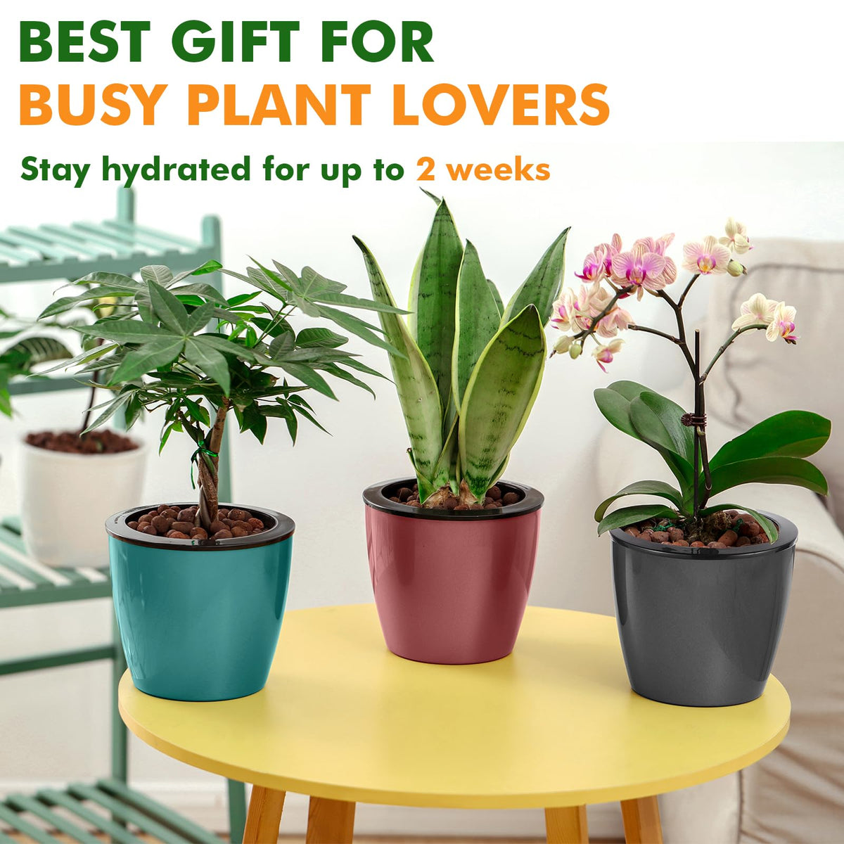 Planterhoma premium plastic construction is lightweight yet robust.