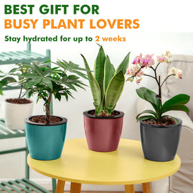 Planterhoma premium plastic construction is lightweight yet robust.