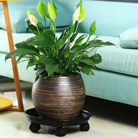 Planterhoma rolling stand works on wood floors and carpets.