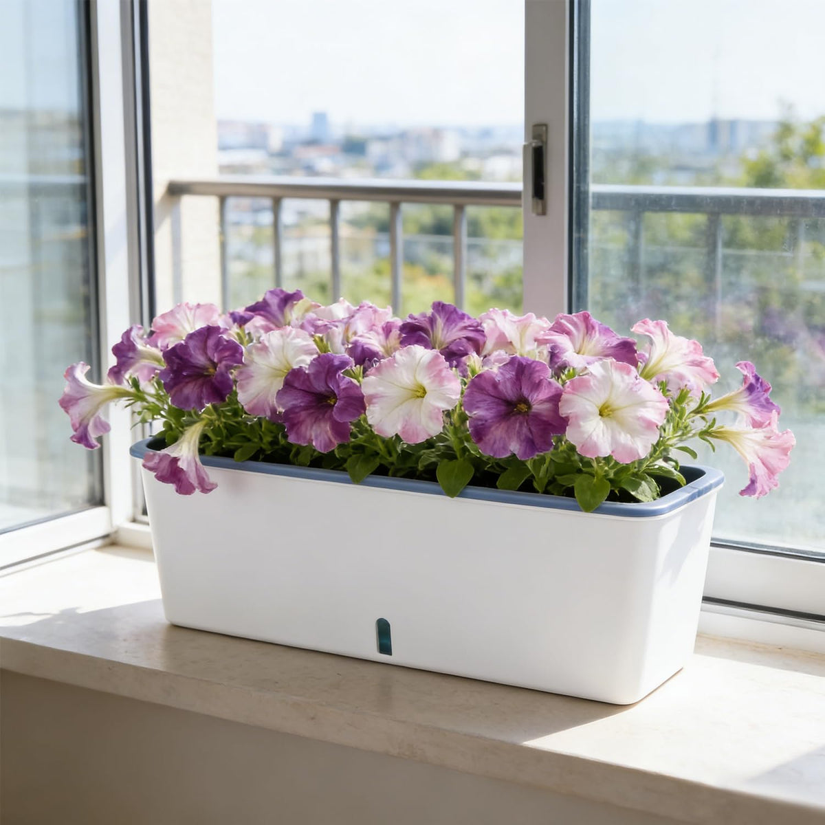 Planterhoma wide slim rectangular planter ideal for narrow walls or window areas
