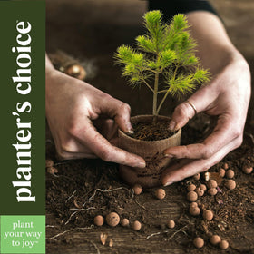 Planters' Choice instruction booklet guiding beginners through growing herbs