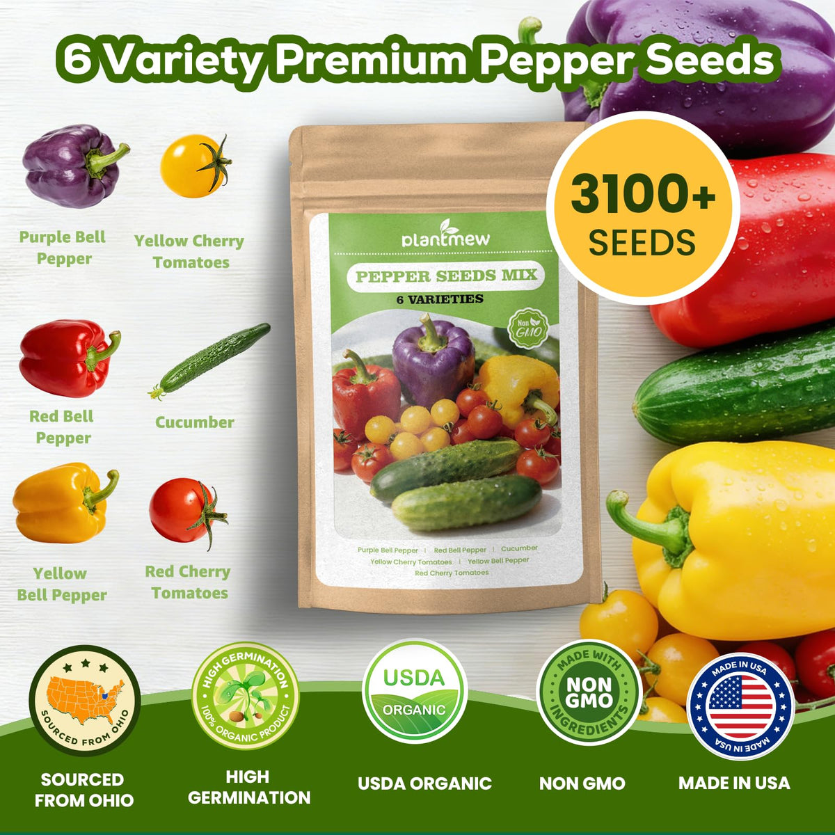PLANTMEW purple pepper pod adds color to your indoor garden