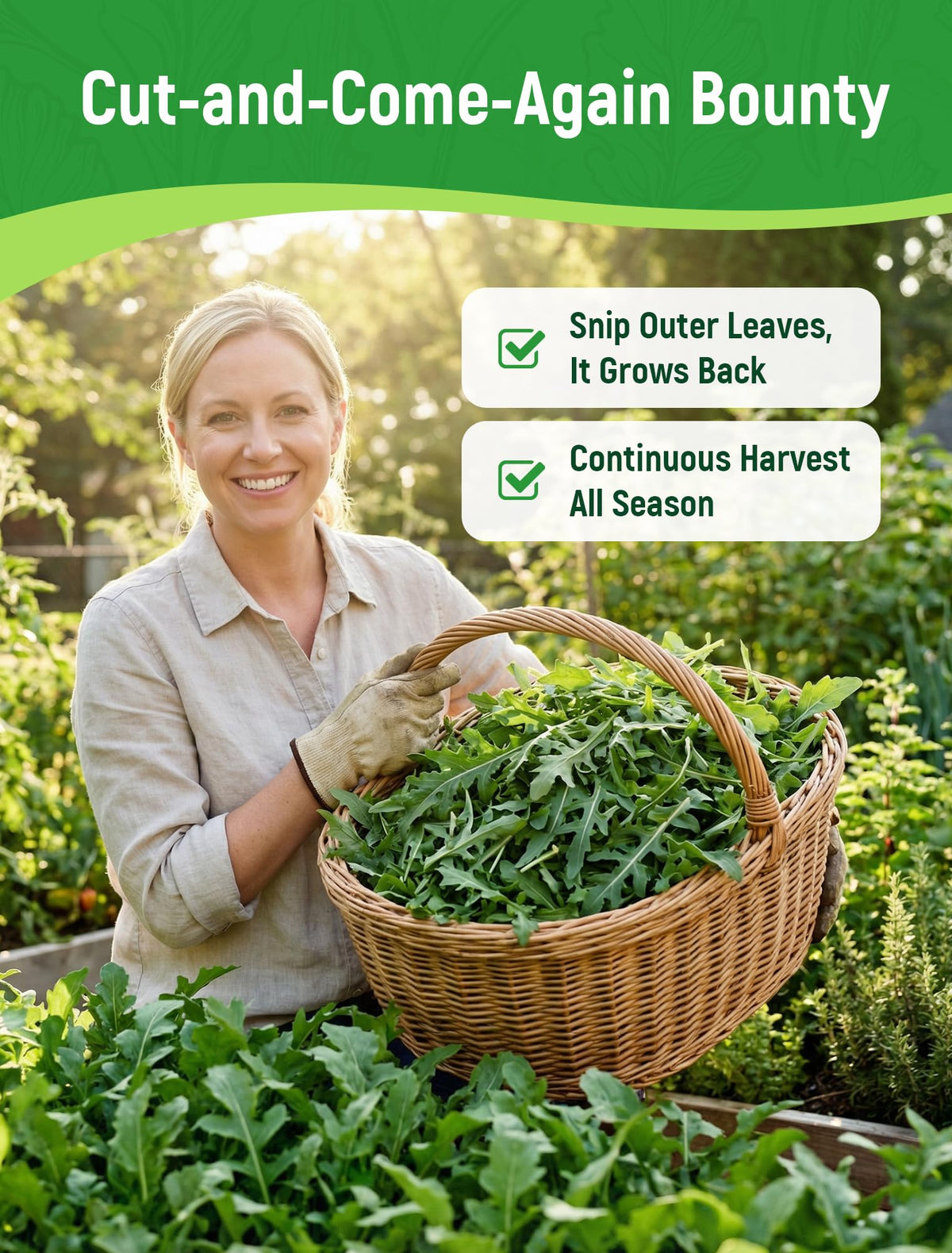 PLANTMEW Arugula seeds cut-and-come-again leaves promise continuous greens.