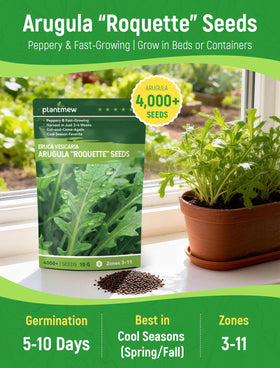 PLANTMEW Arugula seeds in garden bed ready for 3-4 week harvest.