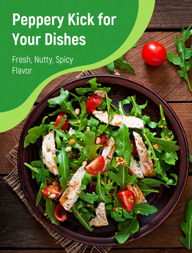 PLANTMEW Arugula seeds harvest-ready snippings yield fresh greens.