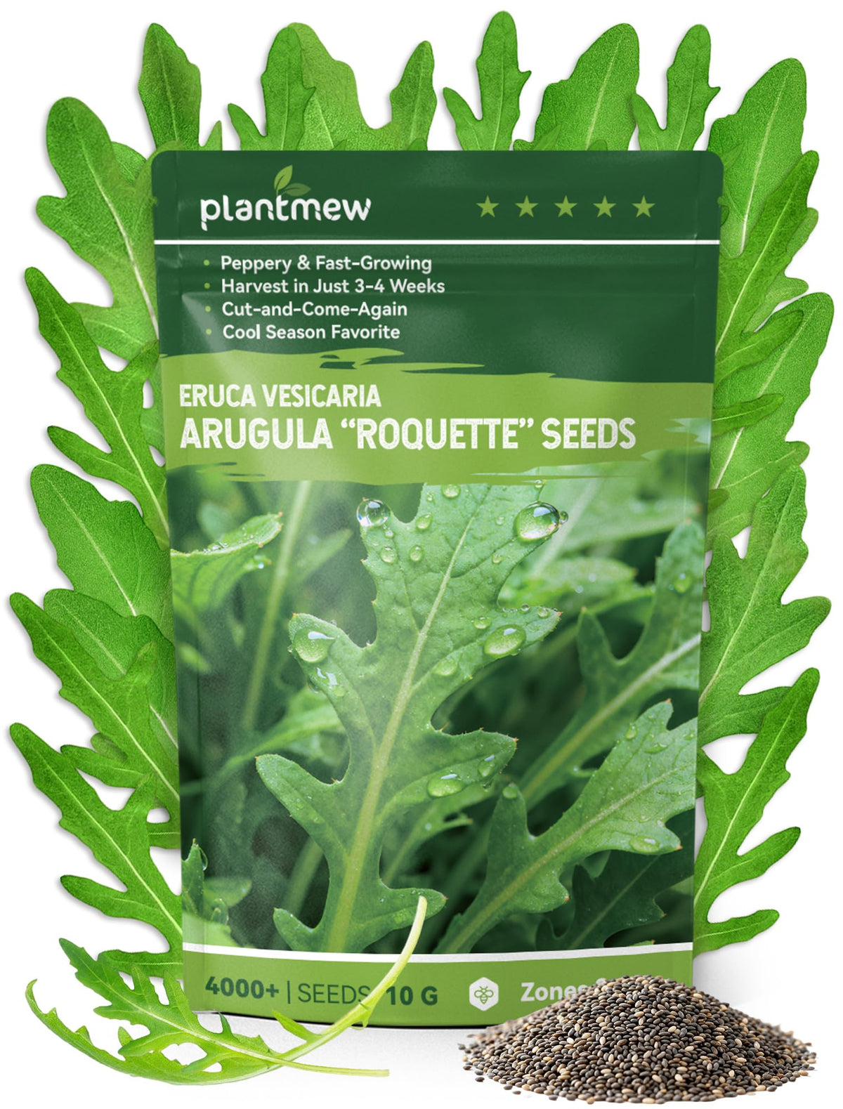 PLANTMEW Arugula seeds seed packet close-up highlights quick harvest potential.