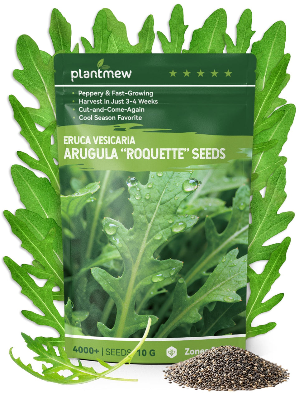 PLANTMEW Arugula seeds seed packet close-up highlights quick harvest potential.