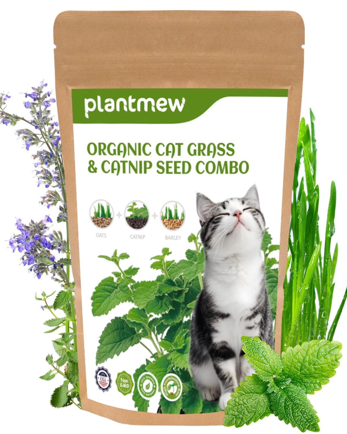 PLANTMEW Cat Grass Seed Kit front view, convenient indoor enrichment for curious cats.
