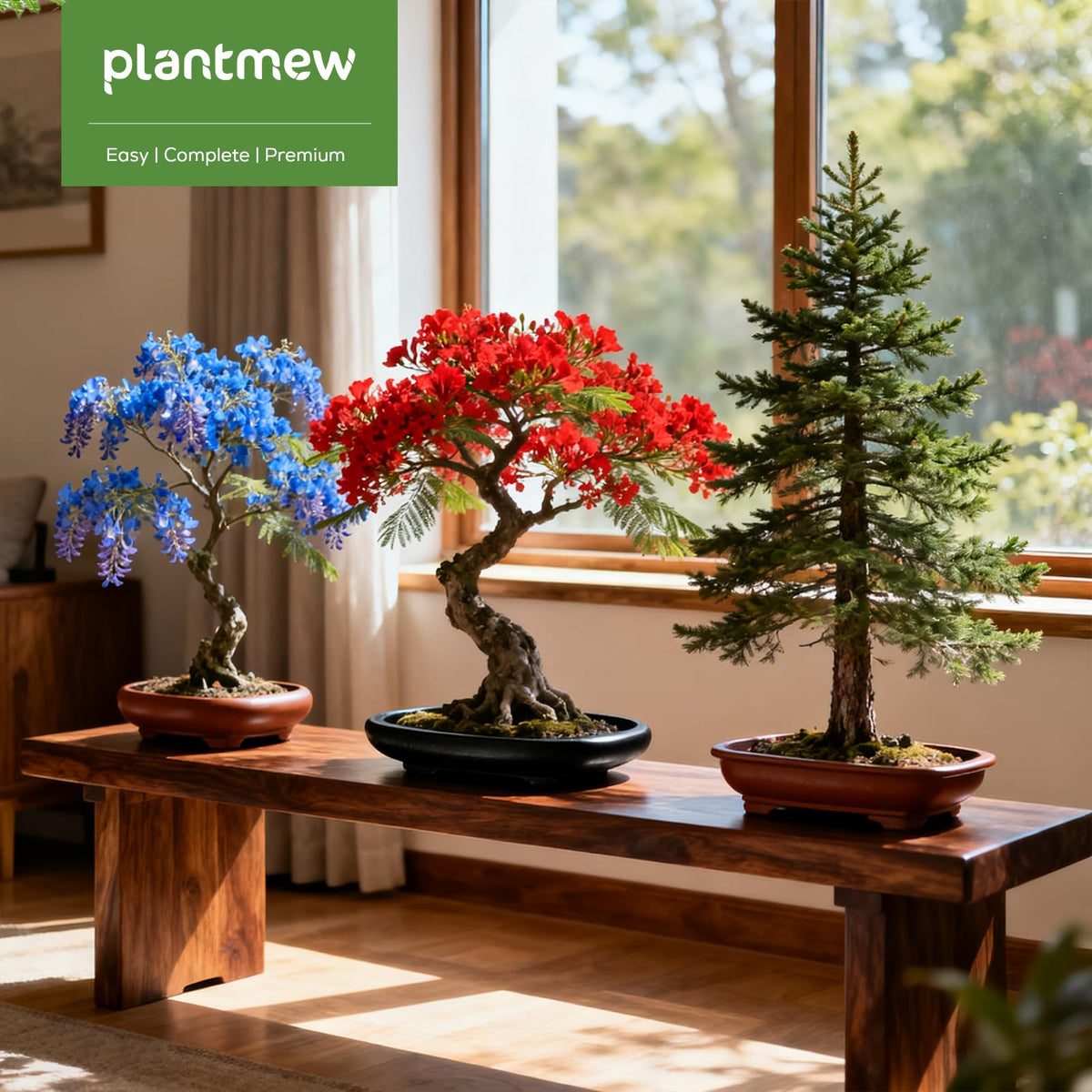 PLANTMEW hands-on bonsai activity fosters calm creativity