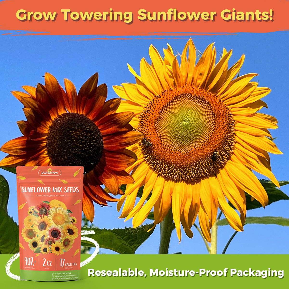 PlantMEW garden-joy sunflowers invite cheerful outdoor planting.