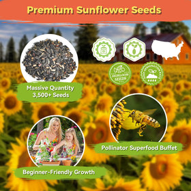 PlantMEW seeds with high germination rate for reliable growth.