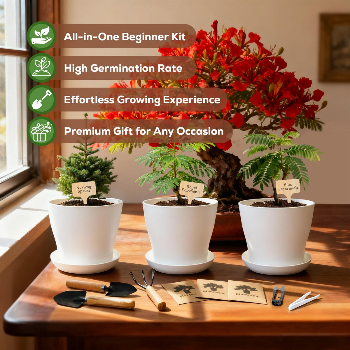 PLANTMEW bonsai planting markers help label each sapling
