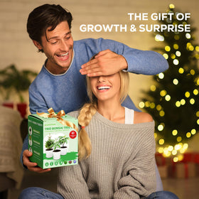 PLANTMEW gift-ready packaging makes a thoughtful plant gift