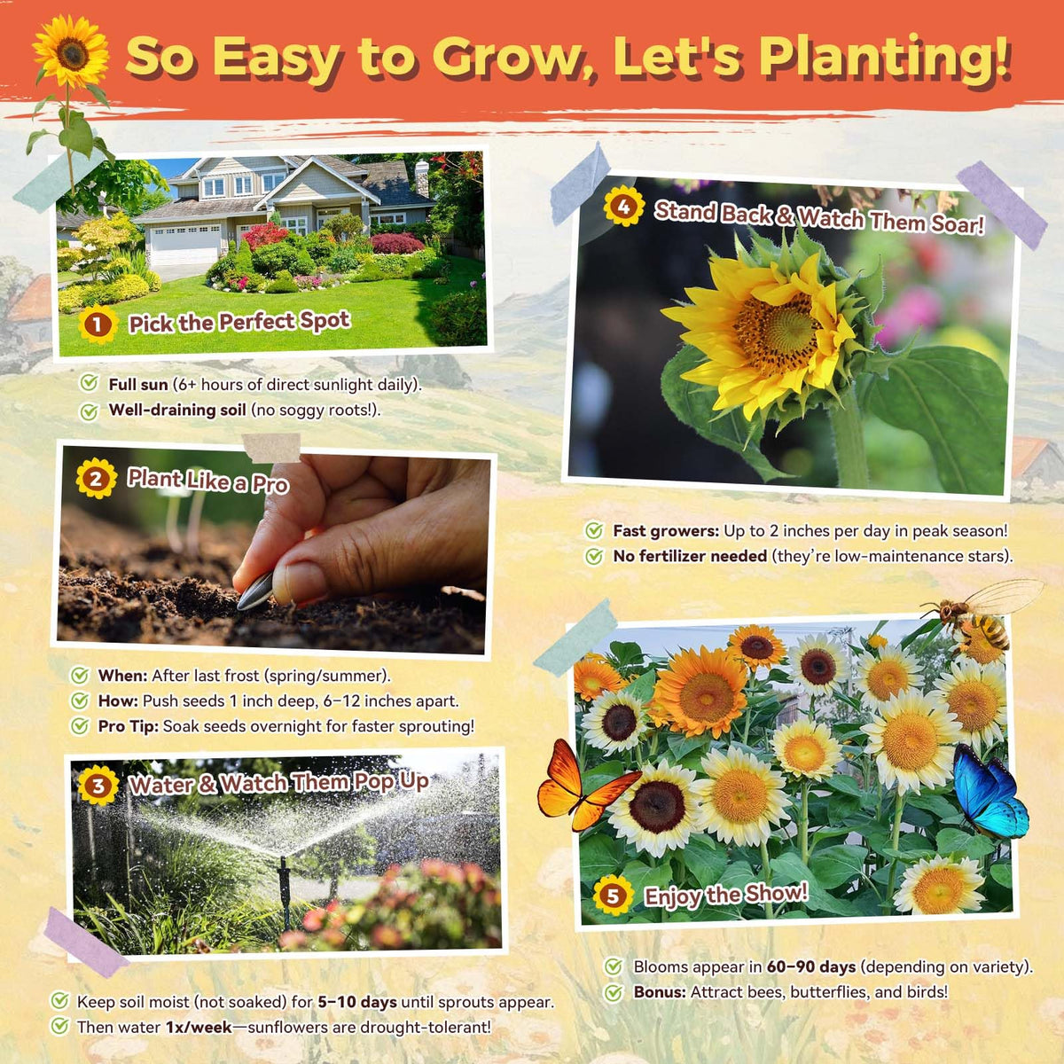 PlantMEW made in USA seeds ensure quality and freshness.