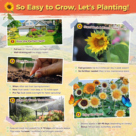 PlantMEW made in USA seeds ensure quality and freshness.