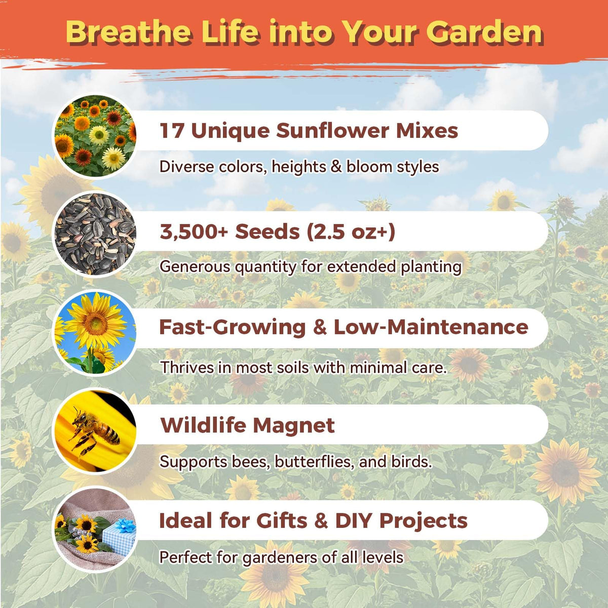 PlantMEW pollinator-friendly sunflowers attract bees and butterflies.