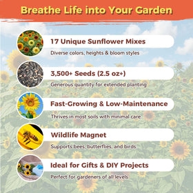 PlantMEW pollinator-friendly sunflowers attract bees and butterflies.