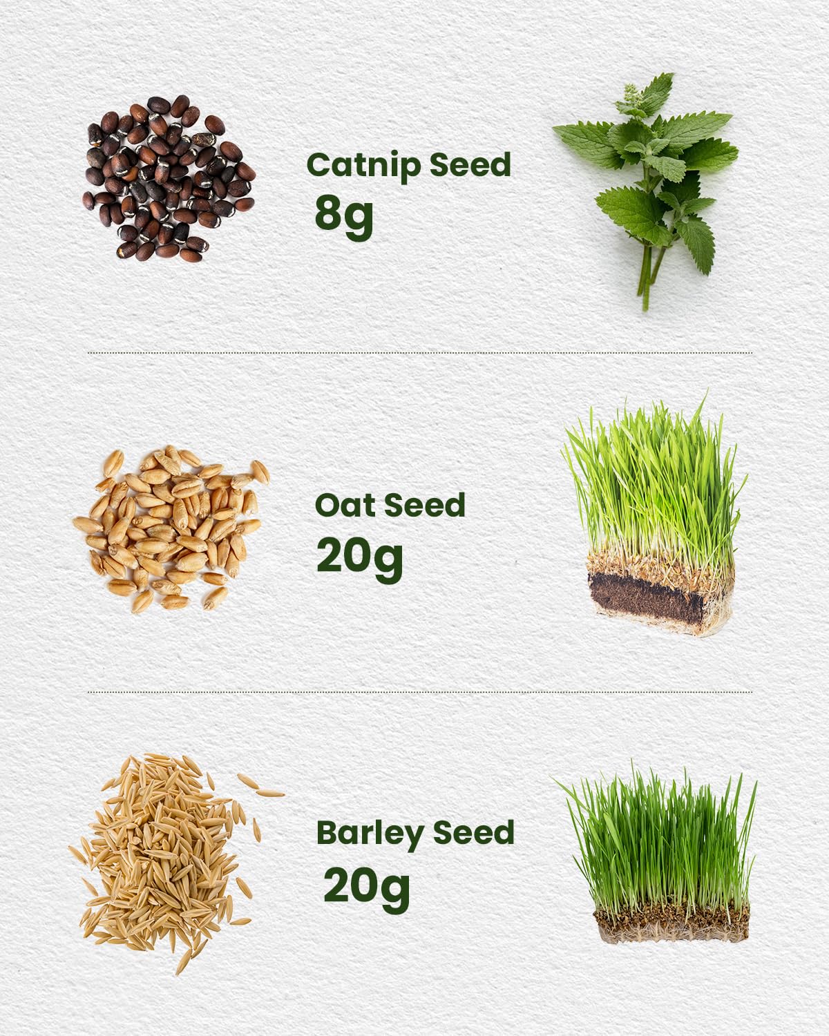 PLANTMEW seeds blend close-up showing oats, barley, catnip for natural grazing.
