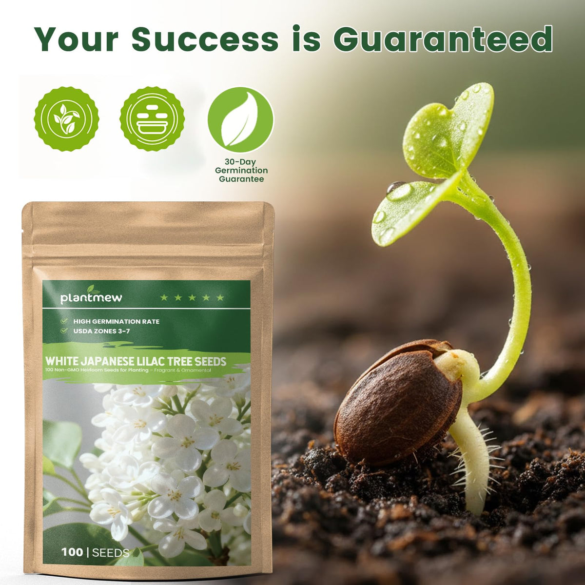 PLANTMEW step-by-step germination guide supports healthy seedlings.