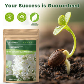 PLANTMEW step-by-step germination guide supports healthy seedlings.