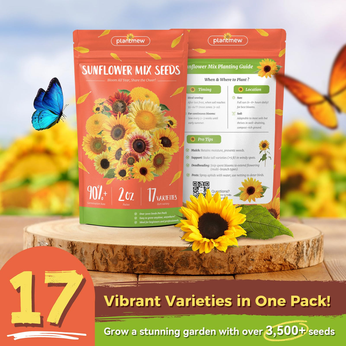 PlantMEW sunflowers blooming all year for lasting garden color.