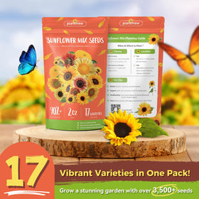 PlantMEW sunflowers blooming all year for lasting garden color.